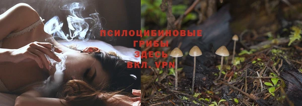 индика Армянск