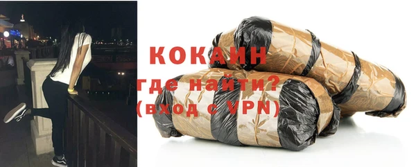 прущие грибы Аркадак