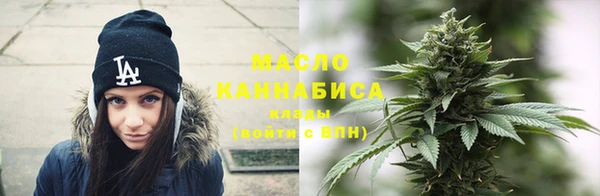 индика Армянск