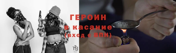 прущие грибы Аркадак