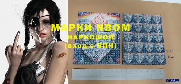 прущие грибы Аркадак