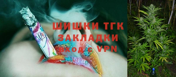 прущие грибы Аркадак