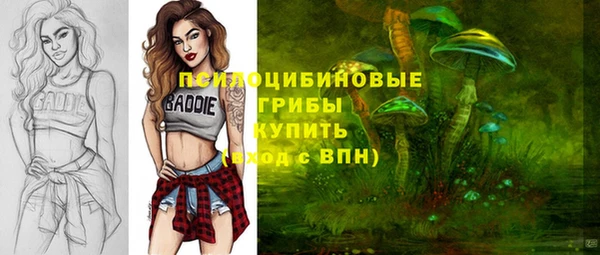 бутират Арсеньев