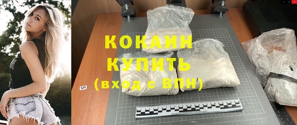 индика Армянск