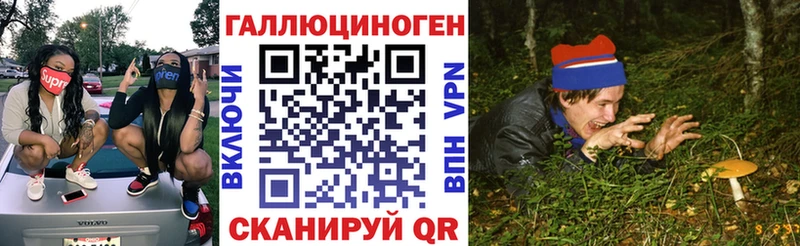 Псилоцибиновые грибы Psilocybe наркошоп Куртамыш