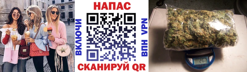 shop какой сайт  Куртамыш  Бошки Шишки SATIVA & INDICA 
